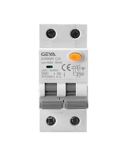 GYR9NM Type A RCBO 2P 25A 30mA Leakage Protector for Overload Protection