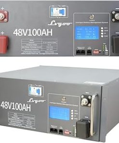48V 100Ah LiFePO4 Battery with 100A BMS for Solar and RV Use