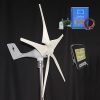 24V 300W Wind Turbines with Hurricane-resistant Blades for All Terrain