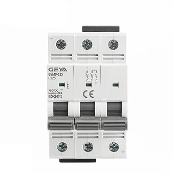 DC Mini Circuit Breaker 80A 100A 125A for Solar System Din Rail DC Mini Circuit Breaker 80A 100A 125A for Solar System Din Rail