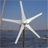 Low Wind Speed 2000W Industrial Wind Turbine Generator 12V 24V 48V 3